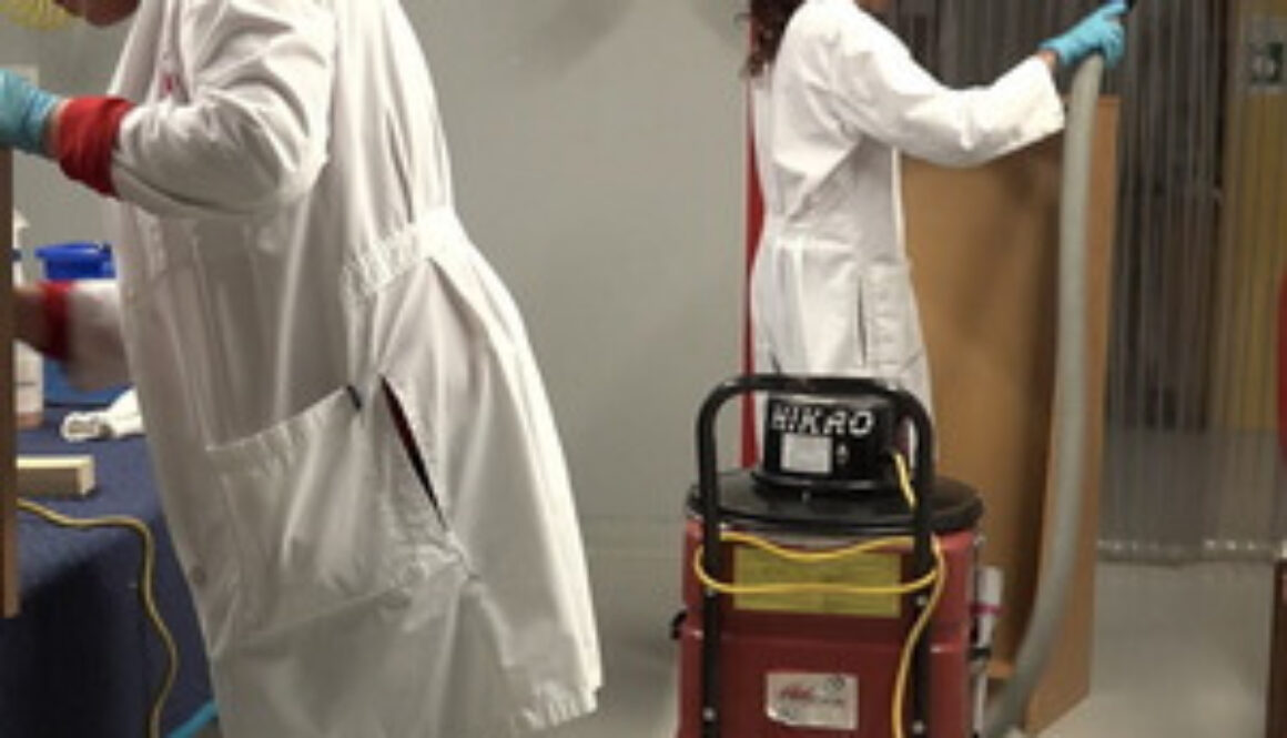 mold removal Sarasota FL IICRC certified remediation Above Beyond